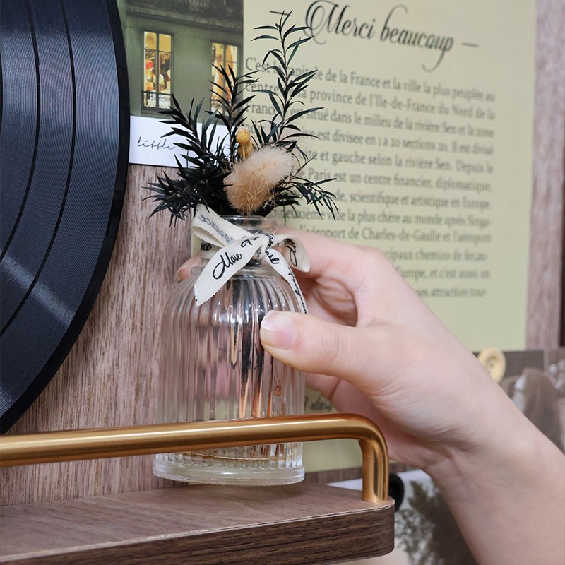 复古黑胶唱片电表箱装饰画立体磁吸置物电源开关盒遮挡弱电箱挂画