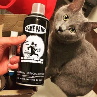 ACME亮光街头涂鸦手绘壁画手摇自喷漆黑色彩色丙烯配方快干艺术漆