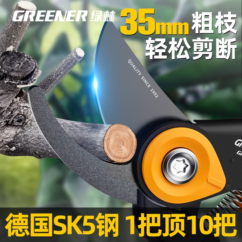 绿林园艺剪刀剪树枝SK5钢植物欧式花艺修枝剪花园家用花剪果树剪