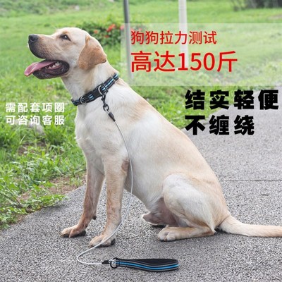 狗绳防咬断大型犬溜狗狗牵引绳钢丝铁链不锈钢边牧萨摩耶宠物链子