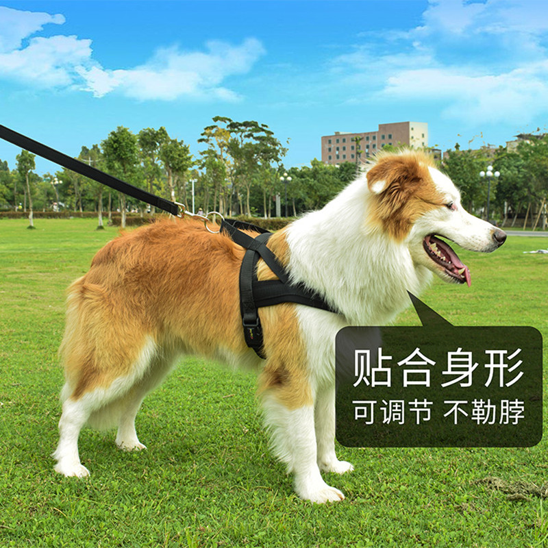 宠物胸背带中小型犬遛狗绳狗狗牵引绳八哥法斗胸背狗绳宠物用品