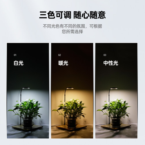 led微景观灯USB插头苔藓植物灯鱼缸造景竹板灯三色变光植物生长灯