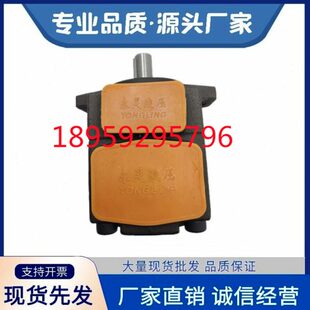 /168性永灵E5/40仙 3片0Y/E能叶L25/BC/6328-E高/居YBY-油泵0