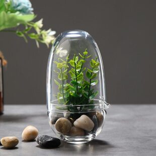可防尘微景观生态瓶物作摆件绿植 展示盒玻璃罩收藏选 透明手三款