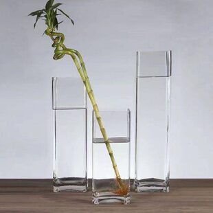 简约水培柳透明竹子摆件插大号款高方形银玻璃花瓶水养插花富贵竹