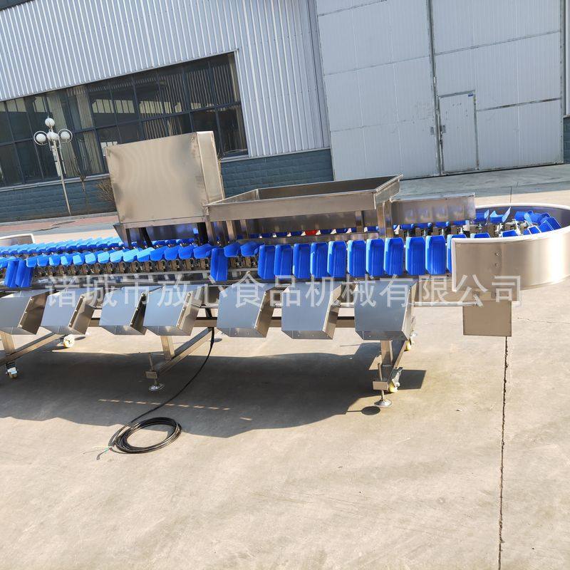 海蛎子称重分选机 重量分拣机水果称重分选机 海参生蚝分选机,清洗/食品/商业设备,选果机/分选机,淘宝优惠券,粉丝福利购,淘宝优惠卷