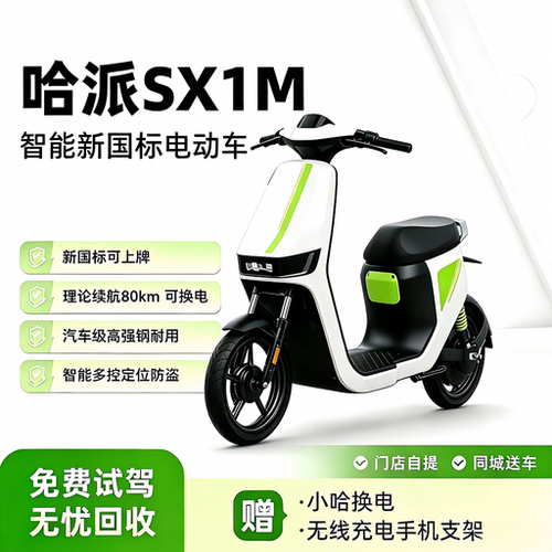 【官方直营】2026长续航电动车通勤外卖车可充换电代步自行车XIM