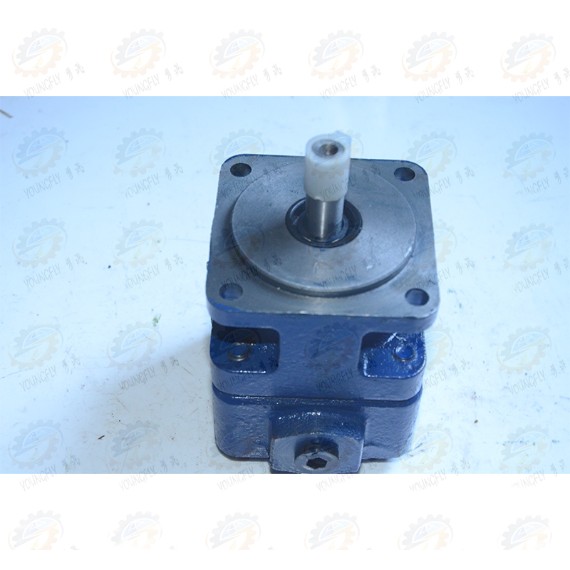 州CW6180车床润滑用YL1-6F逆向叶片泵