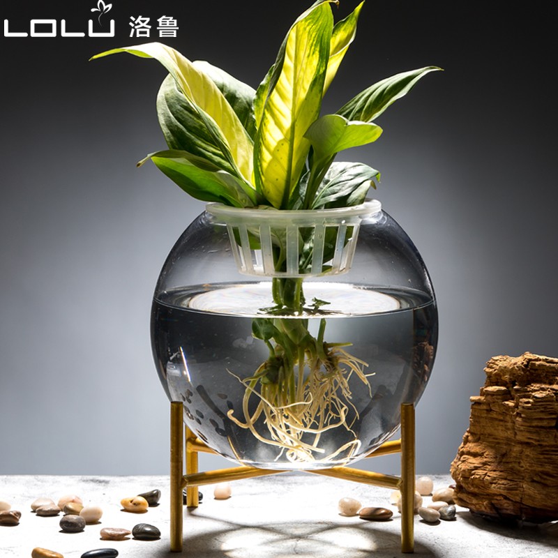 加厚水培植物玻璃瓶 圆形透明玻璃花K瓶绿萝客厅玻璃器皿摆件