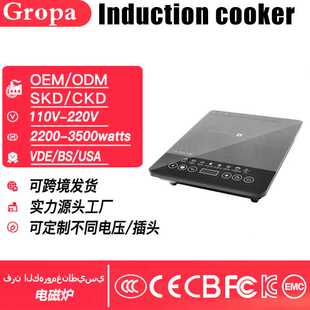 电磁炉Induction cooker家用多功能大功率110V-220V/加工