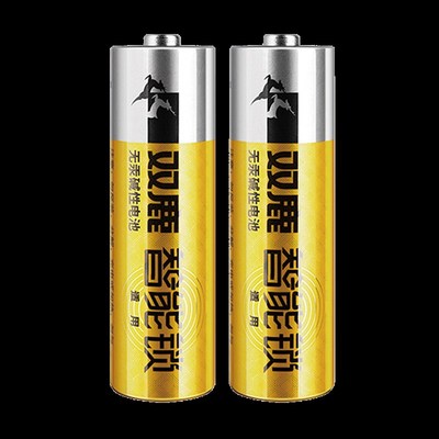 【共8节】双鹿防盗门智能门锁5号电池指M纹锁密码锁专用干电池