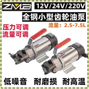 小型直流电机油泵12V 24V220V齿轮油泵电动摆线泵抽液压油减速机