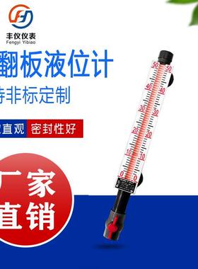 PP磁性液位计耐腐蚀液位计DN25法兰带4-20mA远传信号