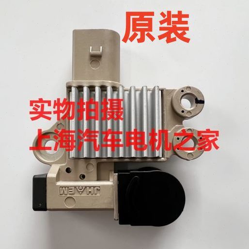 适用东南DX7江淮瑞风M3发电机调节器碳刷 AHA128009