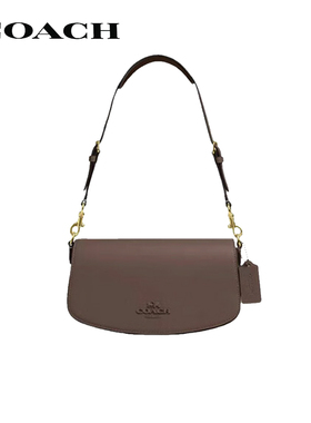 【国内现货】COACH/蔻驰正品女士单肩包Andrea24手提包CT768IMV2R