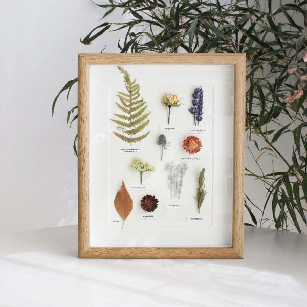 文艺植物手作标本装饰画挂画照片墙干花相框民宿家居摆件创意礼品