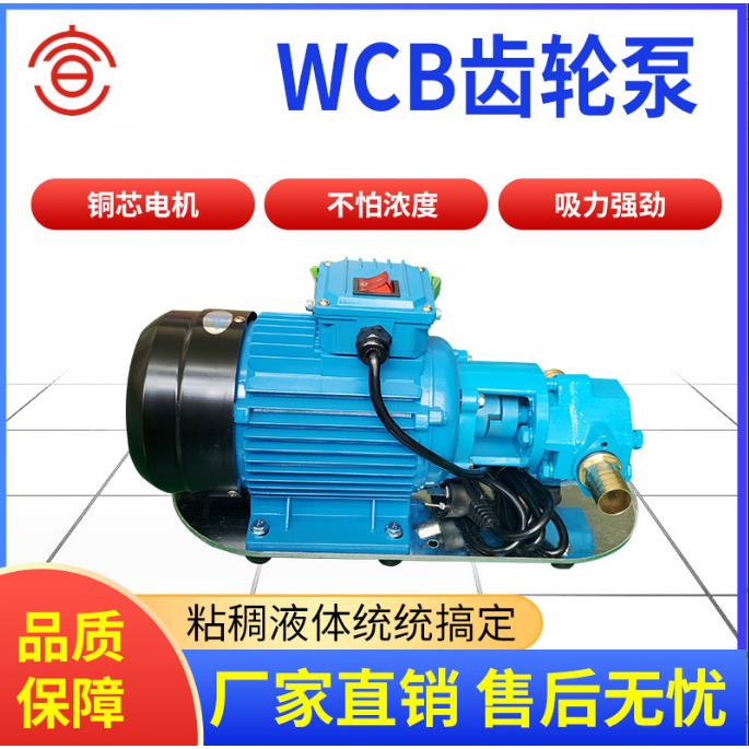 WCB100微型齿轮泵供应不锈钢WCB-100微型齿轮泵