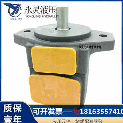 仙居永灵YLC 叶片油泵YB-E20 YB-E8 10 16 20 25 32 40 50 63 100