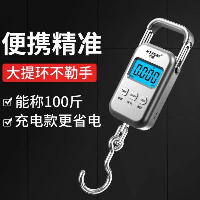 便携式精准手提电子秤小型随身高精度迷你家用商用称重弹簧称鱼器