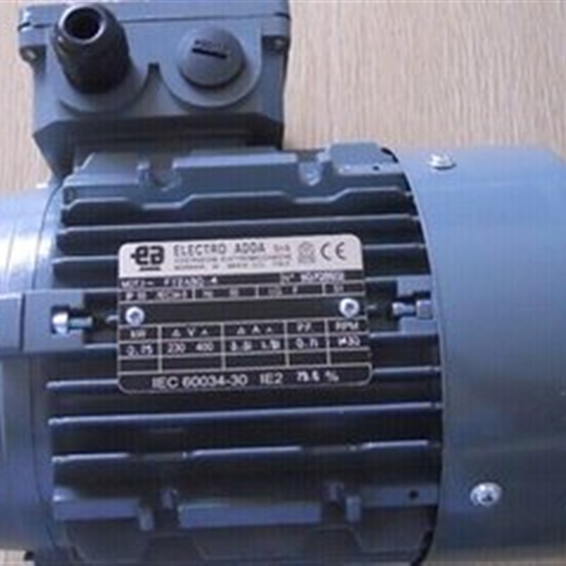 现货意大利COEES(ELECTRO ADDA)高速电机MOTR.3-AF355原装