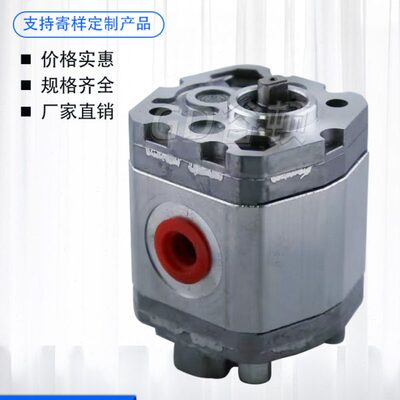 FB/P075.P6/F0000386L10.0油泵B0001齿轮泵叉车L1..0F/755LB610PF