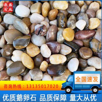 河北鹅卵石雨花石小石子天然原石鱼缸花盆鹅软石庭院装饰五彩石头