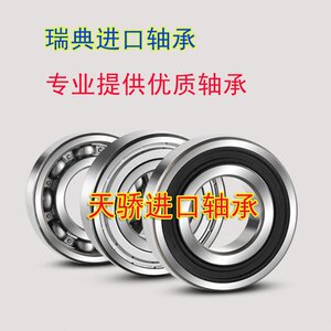 瑞典原装进口轴承 61834M 61836 61838-2RS1 61840 61844天骄轴承