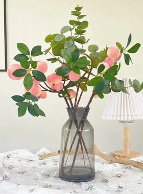 现代极简玻璃花瓶绿植水培器皿客厅餐桌透明插花水养装饰家居摆件