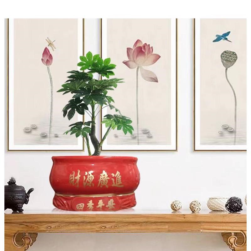 创意简约办公室家j用客厅阳台会所发财树文竹兰花盆景红色陶瓷花