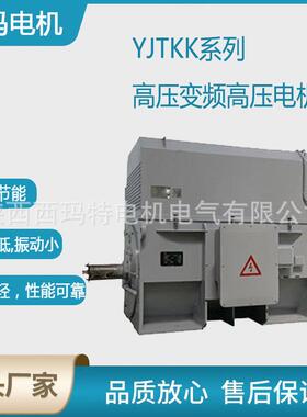 西安电机YJT560L2-8极710W10V高压变频三相异步电动机厂