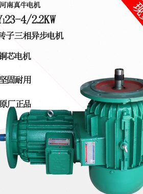 河南真牛电机YEZ112L-4/4.5KW摆线针轮减速机 锥形转子建筑电机