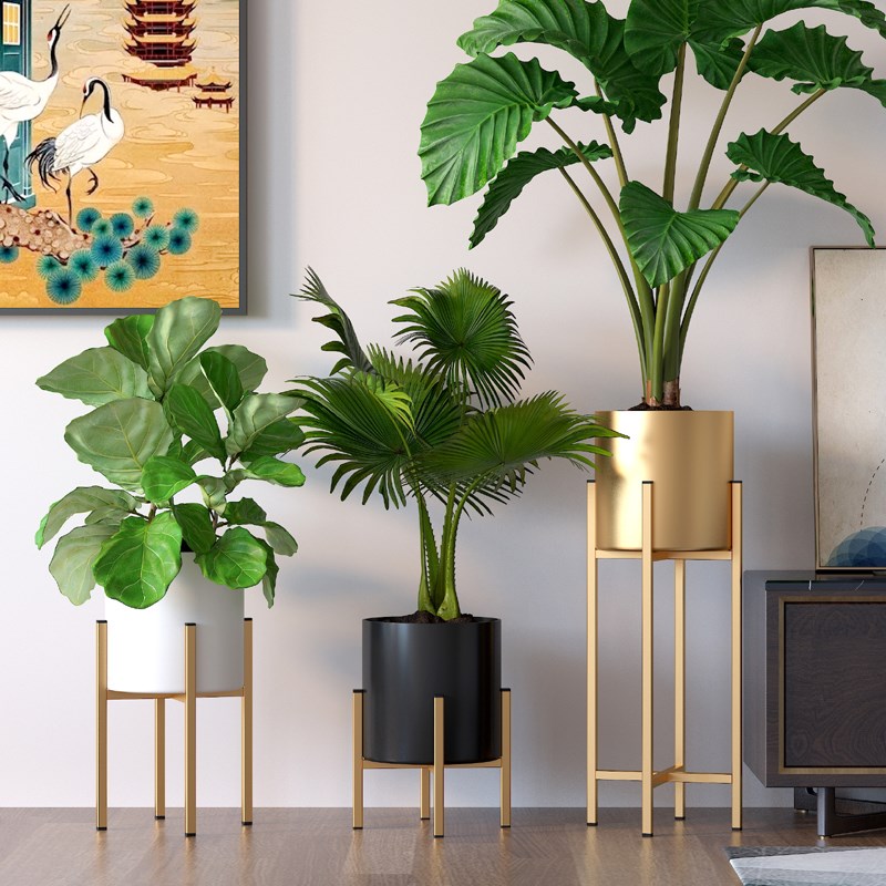 北欧轻奢绿植f大花盆室内客厅电视柜置物架落地式简约现代铁艺花