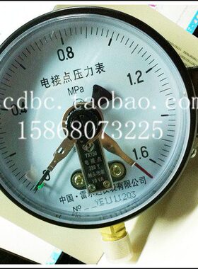 雷尔达电接点压力表 (X-IAL 1.5EDER14 仪表 Y)×60