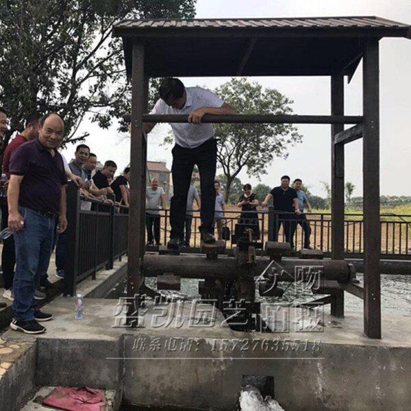 户外防腐木脚踩水车脚踏手摇龙骨水车灌溉引水人力水车幼儿园互动