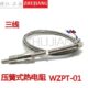 10热电偶0压簧0T探头10 传感器Tt温控仪 0式 P热电阻P1ZW