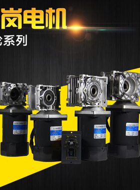 2200涡轮蜗杆减速电机9W0调8V速400WR18WW012060W30RV松岗VV3250/
