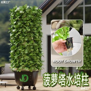 种植无土栽c培阳台设备种菜瓜果水培气雾家庭家用机栽培箱蔬菜白