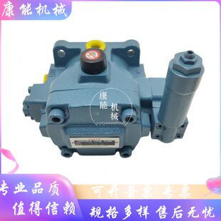 量 B20DC不3越 叶片泵202 VDC 20VDC变V1A1A3二2A5