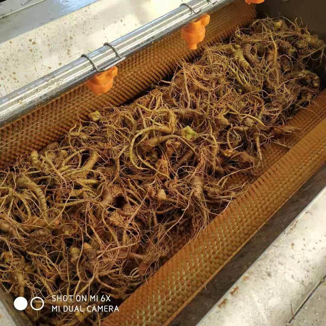 大型去杂质清洗机不锈钢带鱼去麟机海鲜类清洗机现货试机