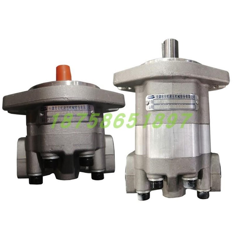 天机齿轮泵 G5-5-1E13S-20R G5-10C-1E13S-20R G5-5-1E13F-20L