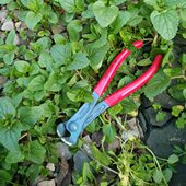 进口积压德国工具水泵钳胡桃钳考虎钳老虎手钳顶切钳尖嘴钳斜口嘴