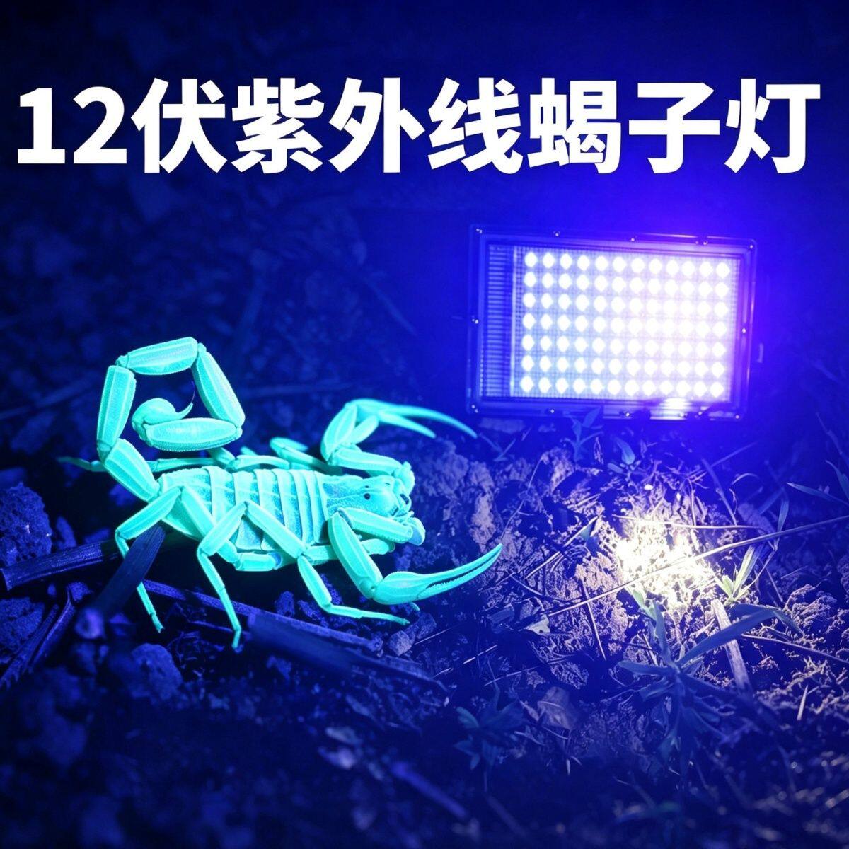 新款LED紫光户外大功率诱虫灯12V