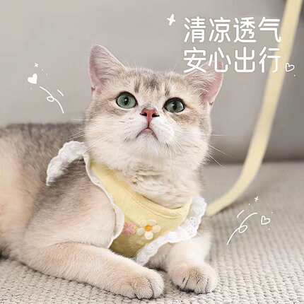 猫咪牵引绳防挣脱外出专用溜猫背心式胸背带小型犬狗狗防跑遛猫绳
