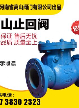 25DN50C-高8高法兰式止回阀C/16钢山4止回阀065牌温蒸汽铸H旋启H4