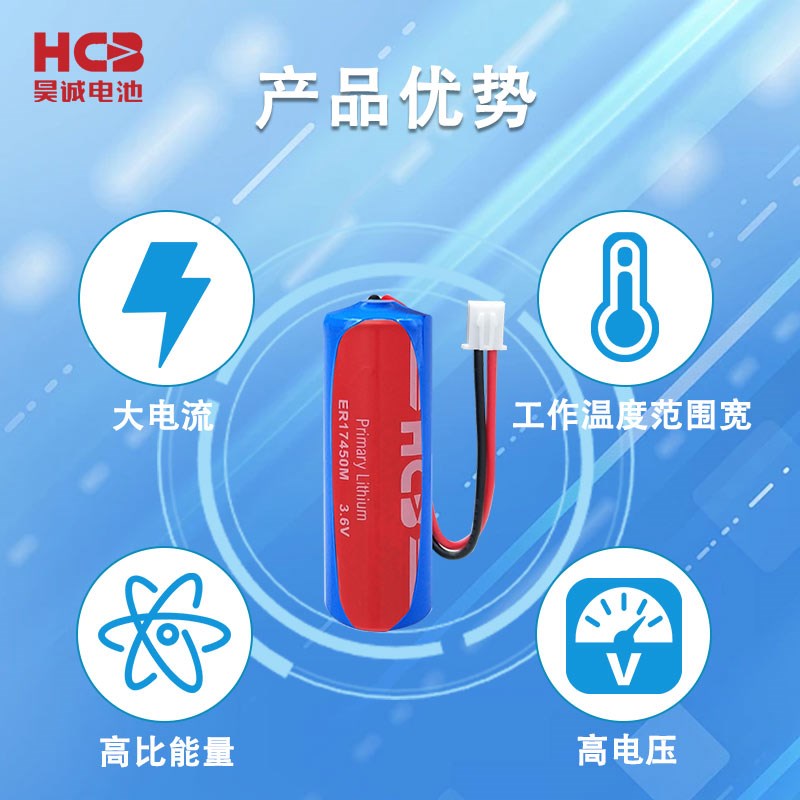 HCB昊诚ER17450M智能水表流量计温控器RAM记忆PLC工控3.6V锂电池