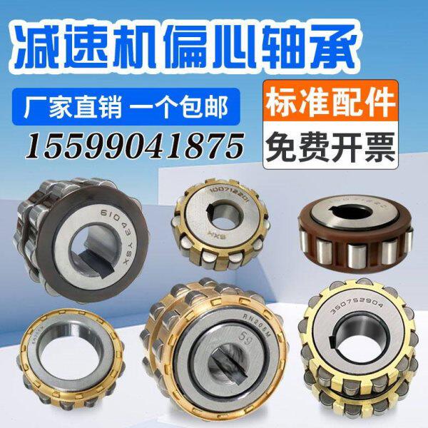 减速机偏心轴承RN204 RN205 RN206 RN307 RN309 RN312 RN219整体