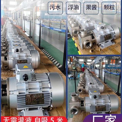 电动自吸泵防腐蚀耐酸碱抽酸泵塑料水泵化工泵耐高温不锈钢挠性泵