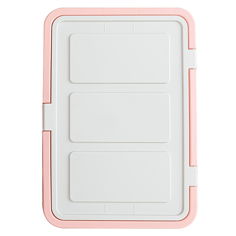 内衣收纳盒内裤袜子文胸整理盒子学生宿舍纳箱家用三合一分格神器