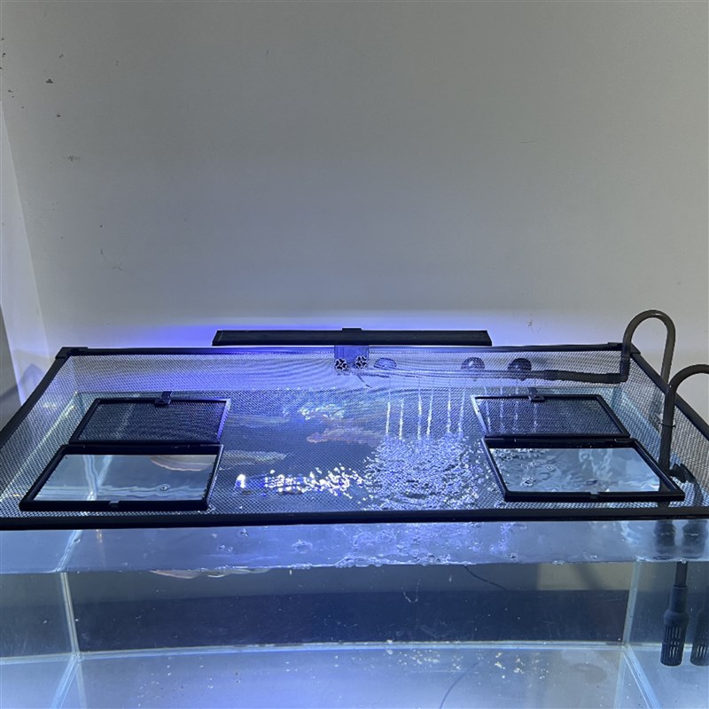 新款加装投喂装置鱼缸防跳网加厚磁条磁吸防逃盖雷龙防跳网防乌龟