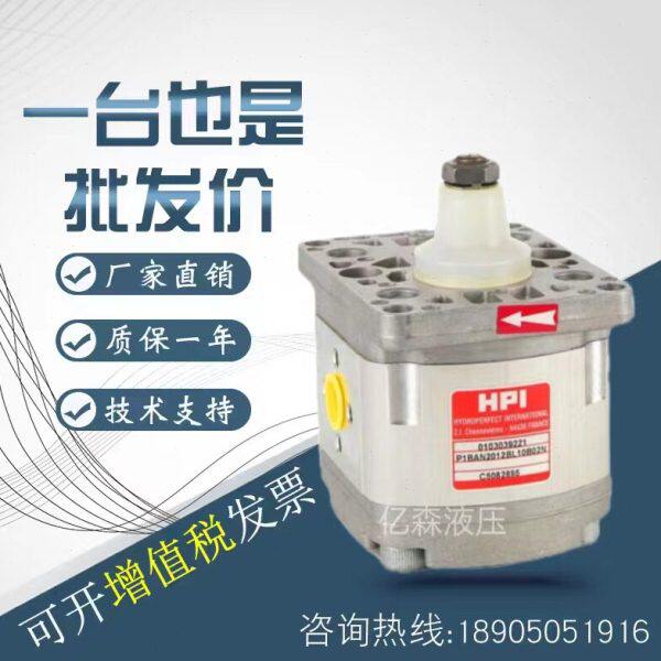 法国HPI齿轮油泵P2BAN2512/2515/2518/2522/2620/2625/2627/2630